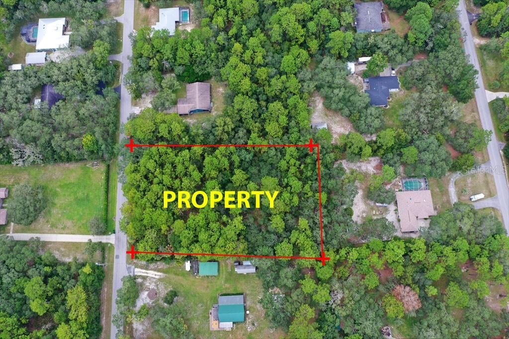 For Sale: $64,950 (1.25 acres)