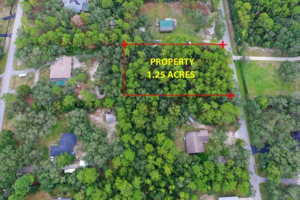 For Sale: $64,950 (1.25 acres)