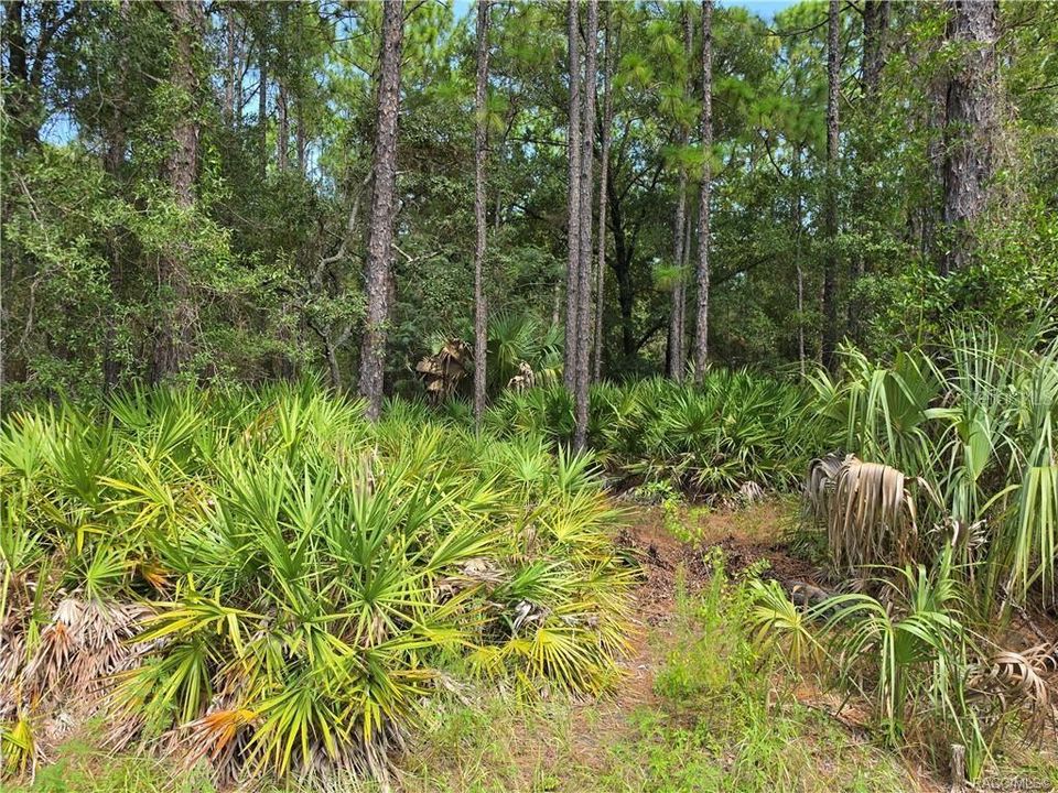 For Sale: $64,950 (1.25 acres)