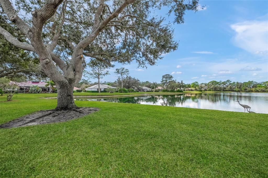 En Venta: $1,099,000 (4 camas, 3 baños, 3443 Pies cuadrados)
