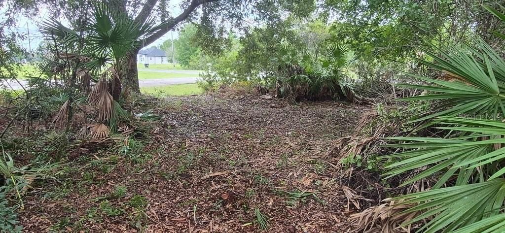 На продажу: $199,000 (1.03 acres)