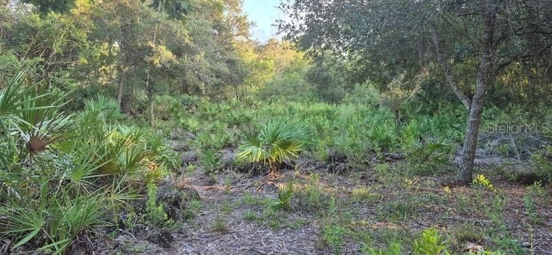 На продажу: $199,000 (1.03 acres)