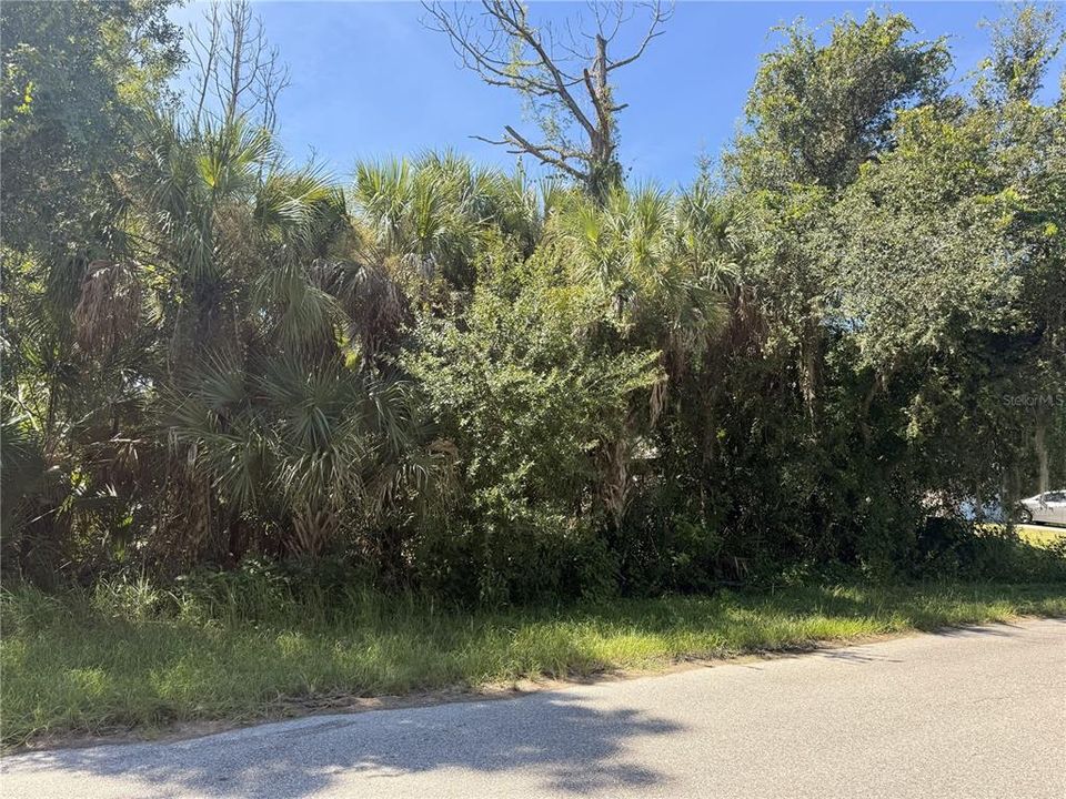 For Sale: $20,000 (0.23 acres)