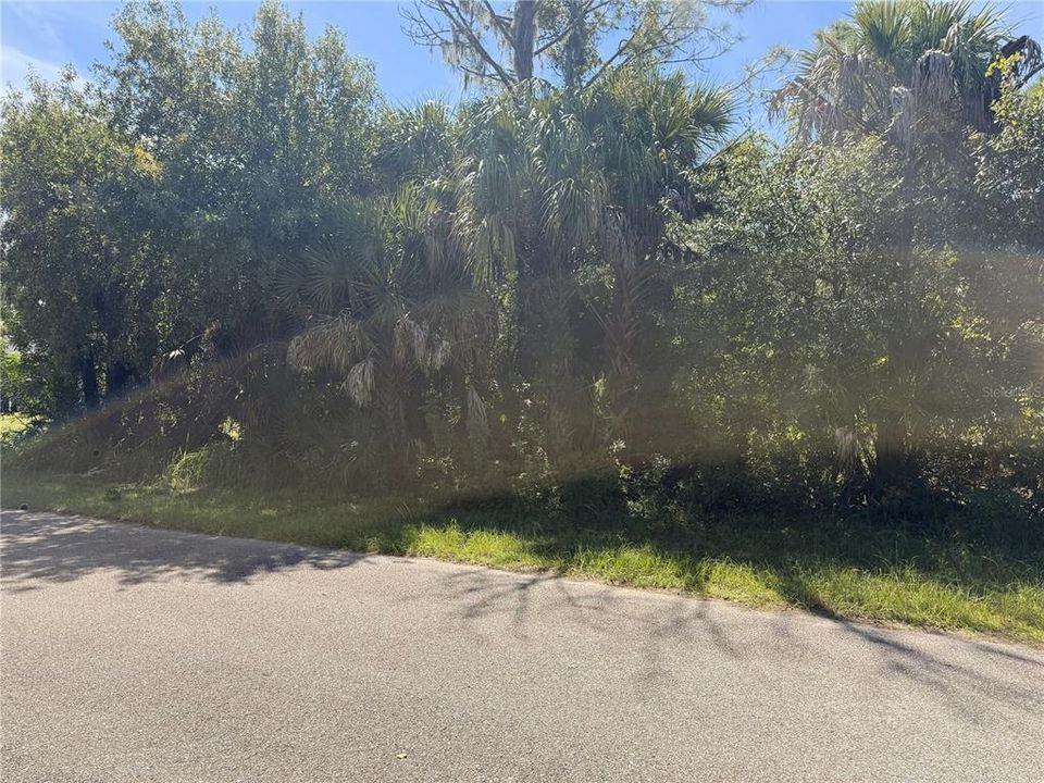 For Sale: $20,000 (0.23 acres)
