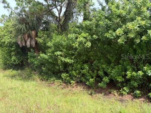 For Sale: $17,000 (0.26 acres)