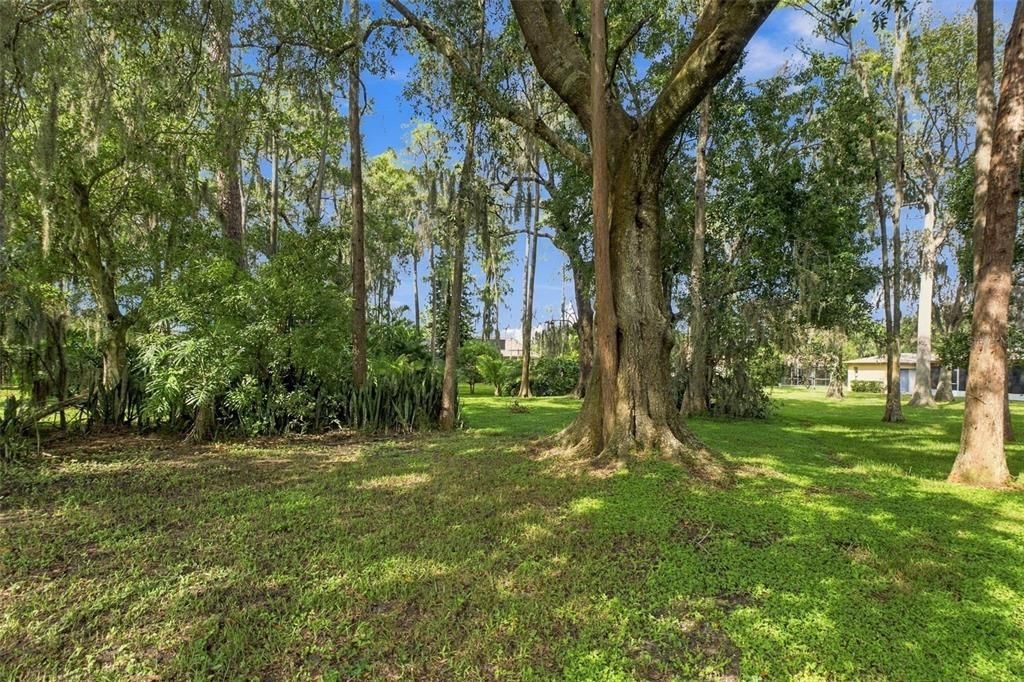 For Sale: $419,900 (3 beds, 2 baths, 1541 Square Feet)