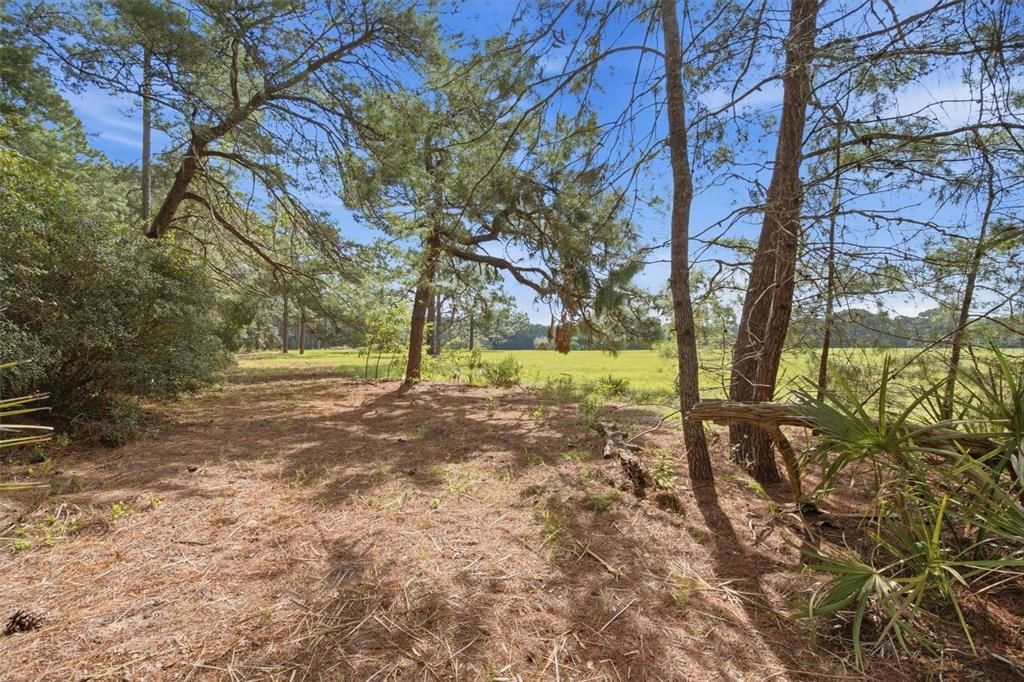 En Venta: $2,500,000 (3 camas, 2 baños, 1344 Pies cuadrados)