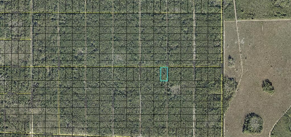 For Sale: $14,000 (1.25 acres)
