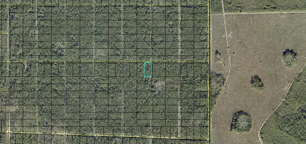 For Sale: $14,000 (1.25 acres)