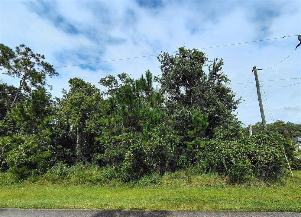 На продажу: $82,500 (0.29 acres)