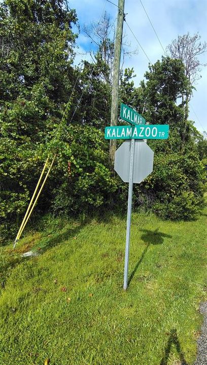 На продажу: $82,500 (0.29 acres)