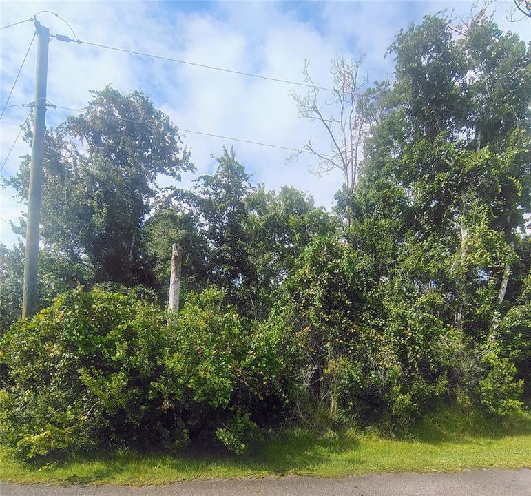 На продажу: $82,500 (0.29 acres)