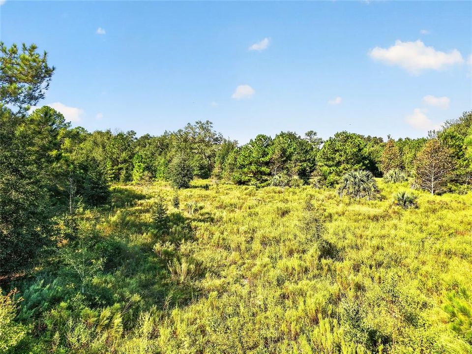En Venta: $357,000 (17.34 acres)
