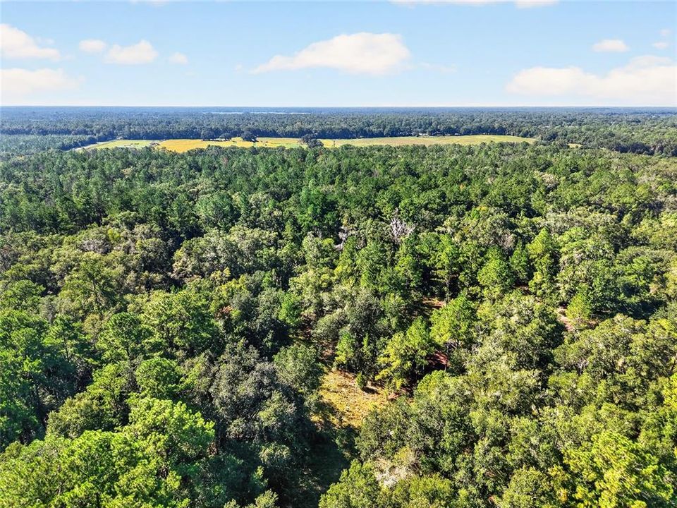 En Venta: $357,000 (17.34 acres)