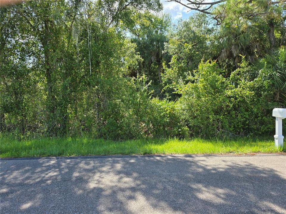 For Sale: $15,000 (0.23 acres)