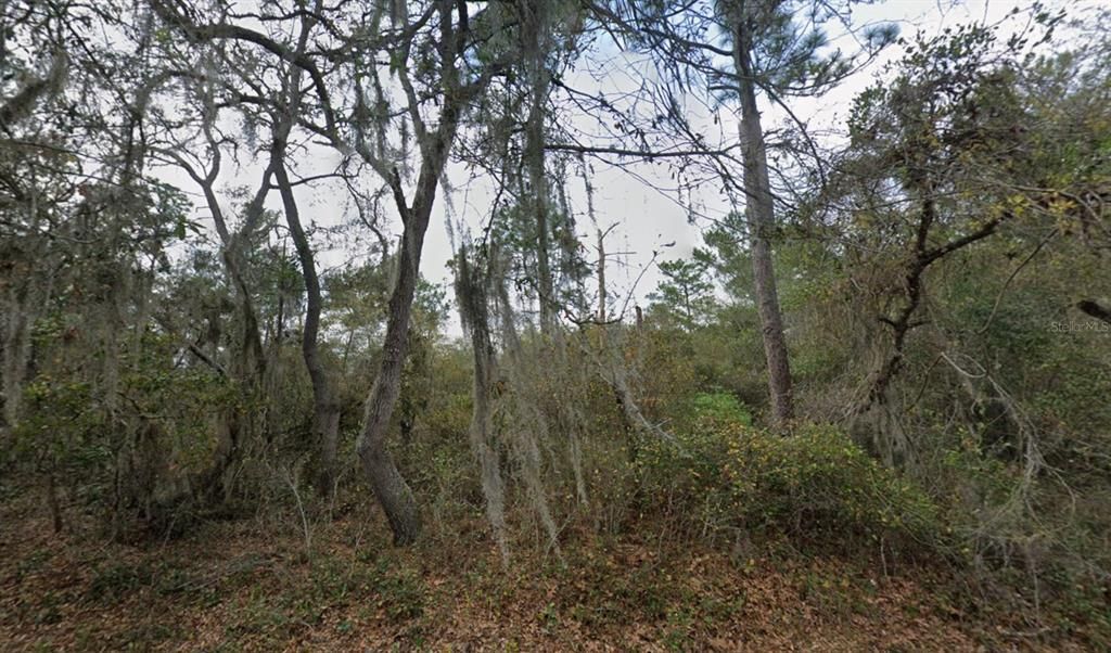 For Sale: $40,000 (0.17 acres)