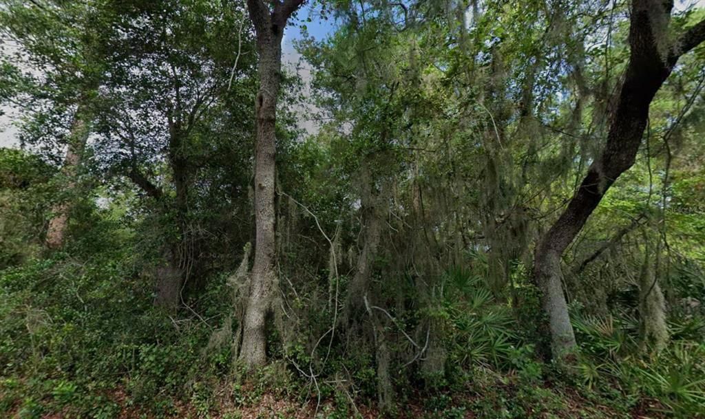 For Sale: $40,000 (0.17 acres)