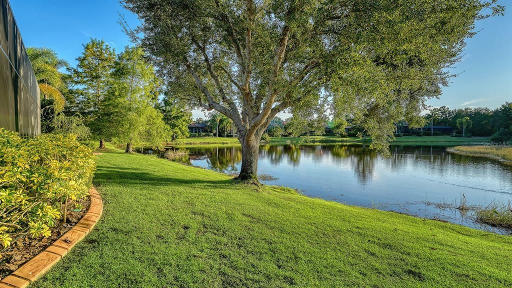 На продажу: $975,000 (3 спален, 2 ванн, 2475 Квадратных фут)