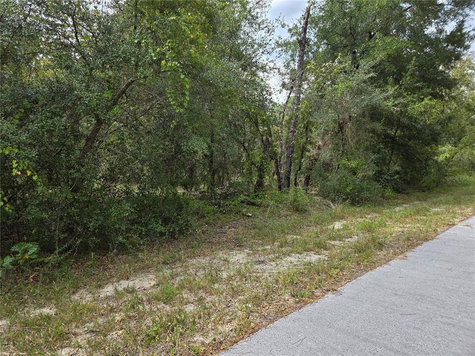 For Sale: $17,000 (0.25 acres)