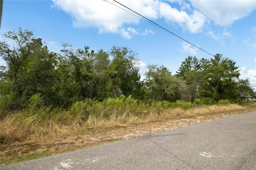 На продажу: $50,000 (0.46 acres)