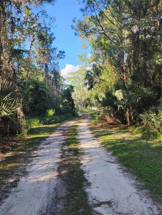 For Sale: $18,000 (0.34 acres)