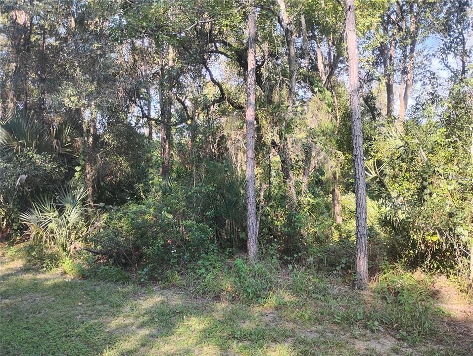 For Sale: $18,000 (0.34 acres)