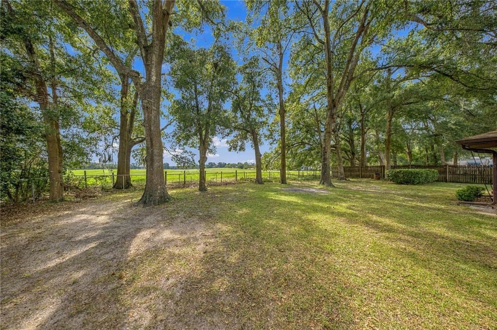 For Sale: $239,900 (3 beds, 2 baths, 1280 Square Feet)