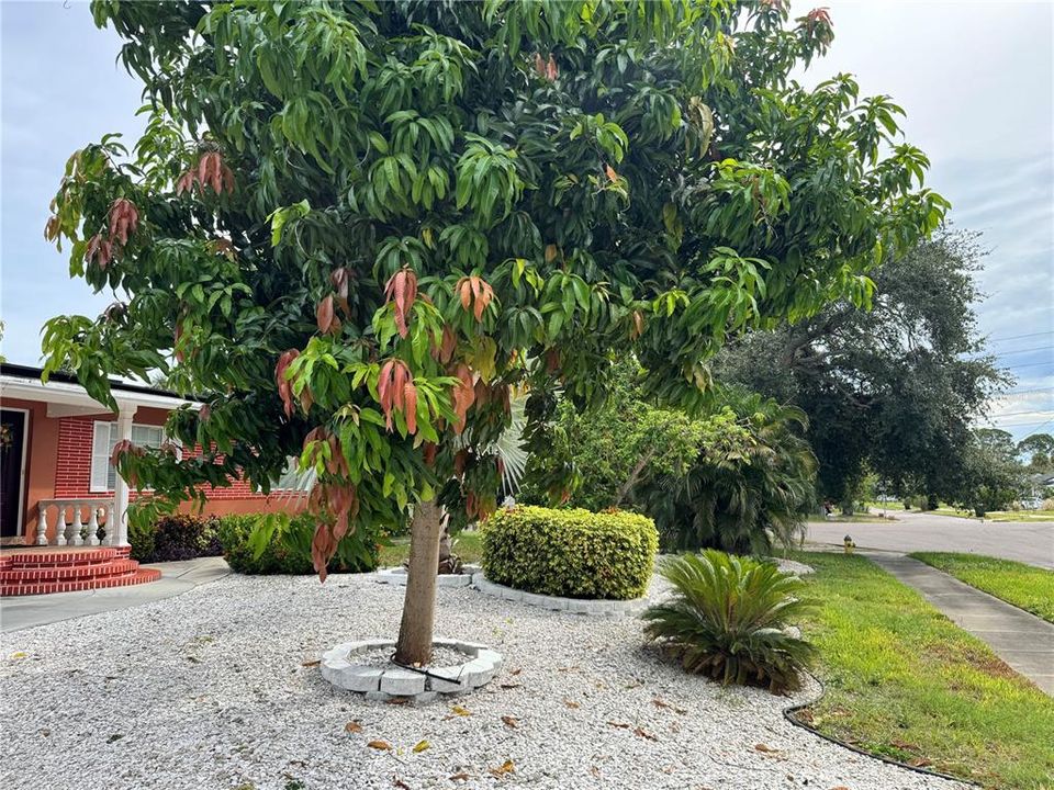 For Sale: $550,000 (5 beds, 4 baths, 2091 Square Feet)