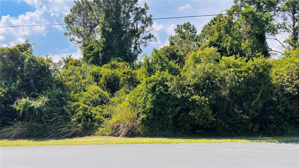 待售: $75,000 (0.29 acres)
