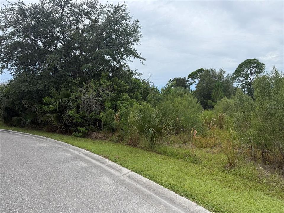 For Sale: $34,900 (0.53 acres)