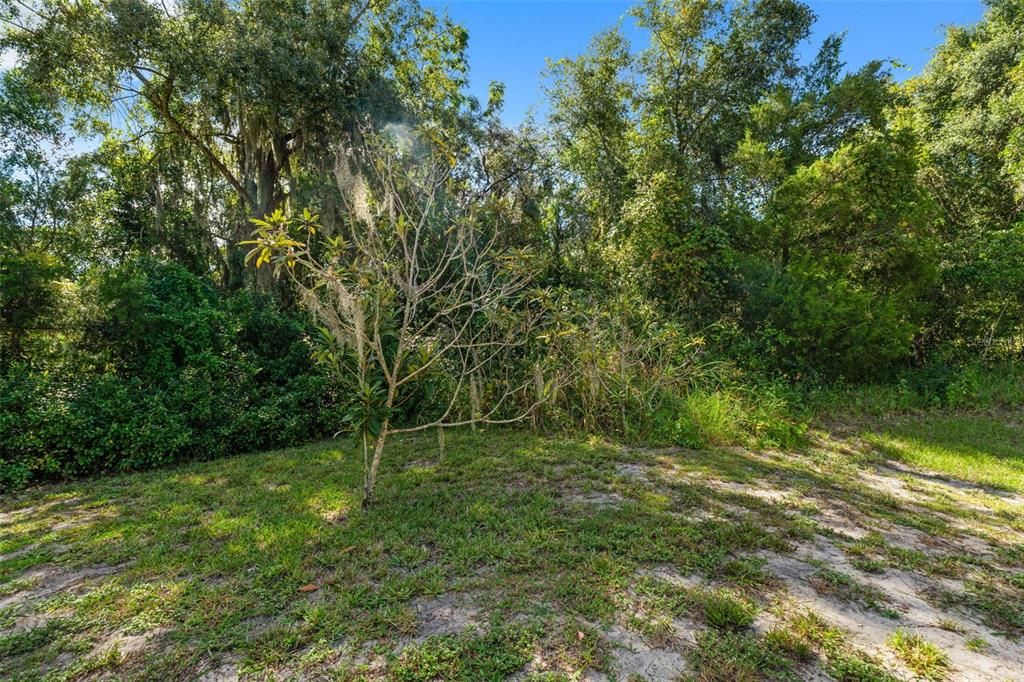 For Sale: $649,900 (5 beds, 3 baths, 3264 Square Feet)