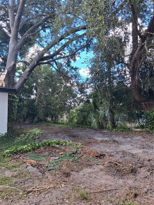 For Rent: $1,900 (3 beds, 2 baths, 1000 Square Feet)