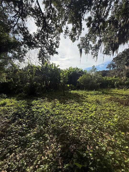 На продажу: $305,000 (0.76 acres)