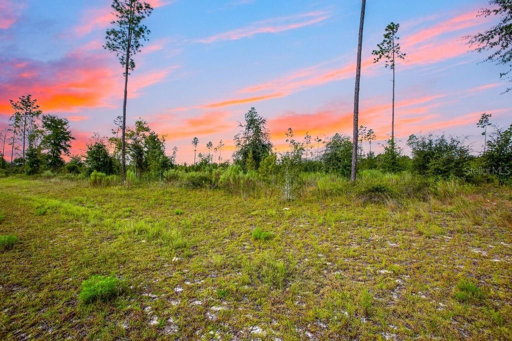 For Sale: $58,000 (4.72 acres)