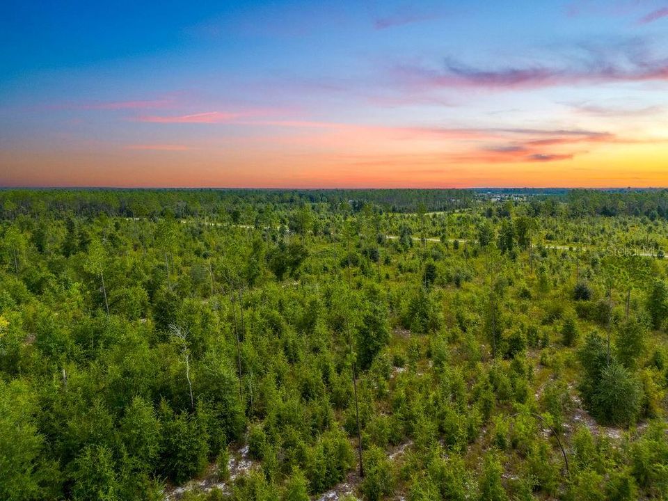 For Sale: $58,000 (4.72 acres)