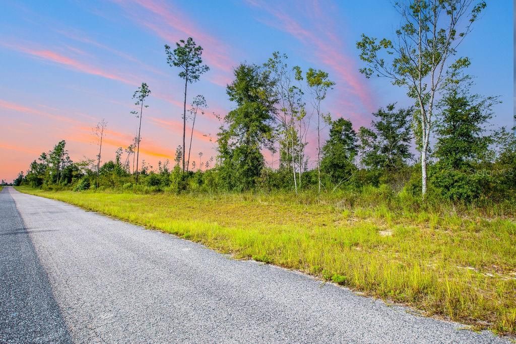 For Sale: $58,000 (4.72 acres)