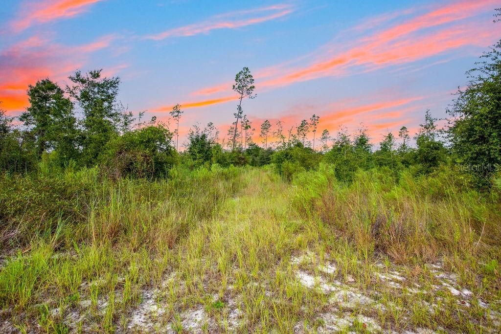 For Sale: $58,000 (4.72 acres)