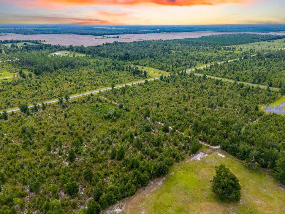 For Sale: $58,000 (4.72 acres)