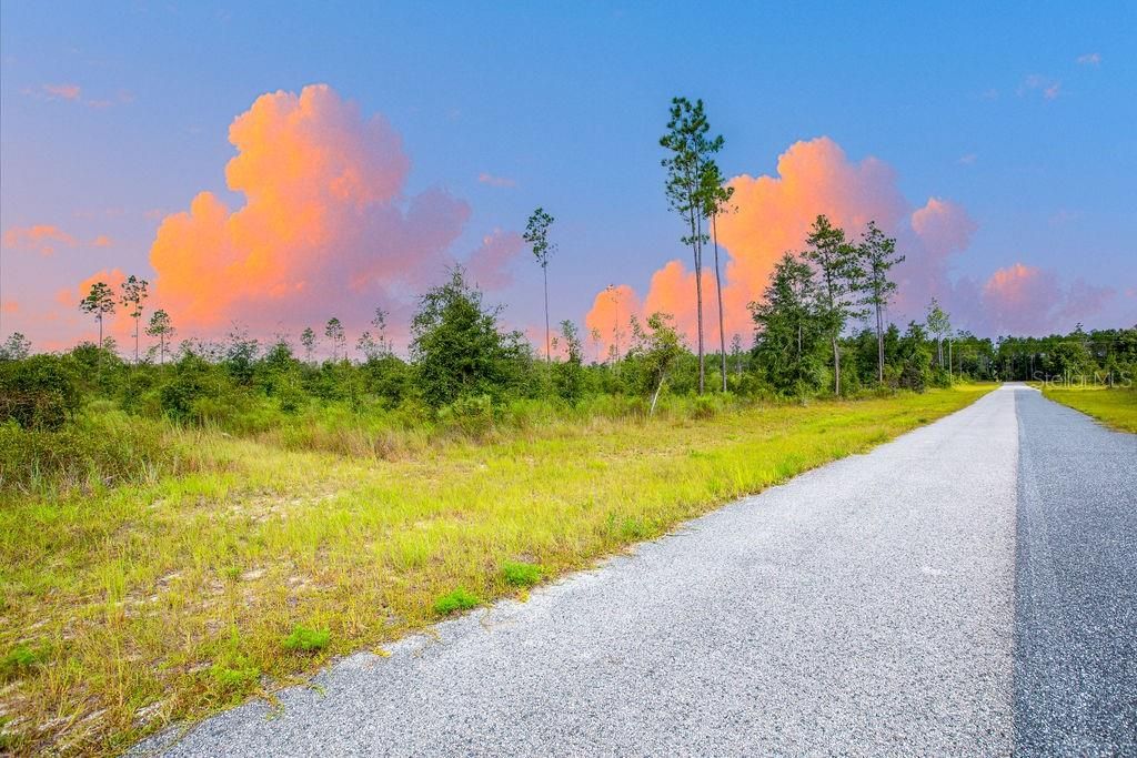 For Sale: $58,000 (4.72 acres)