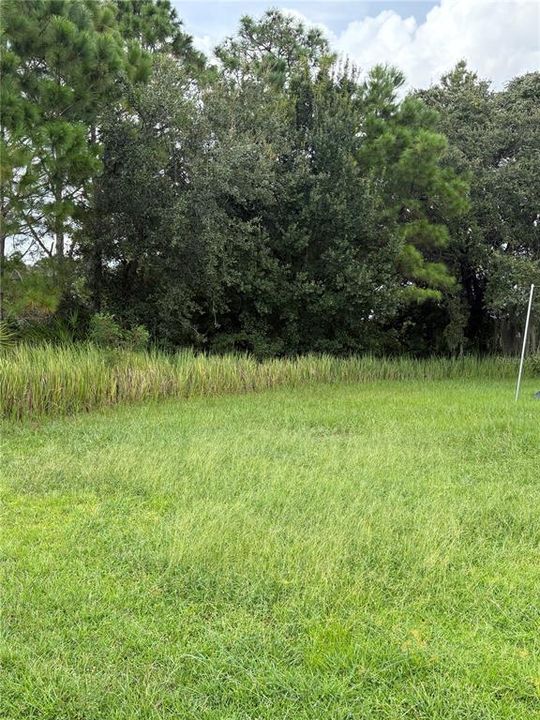 For Sale: $50,000 (0.34 acres)