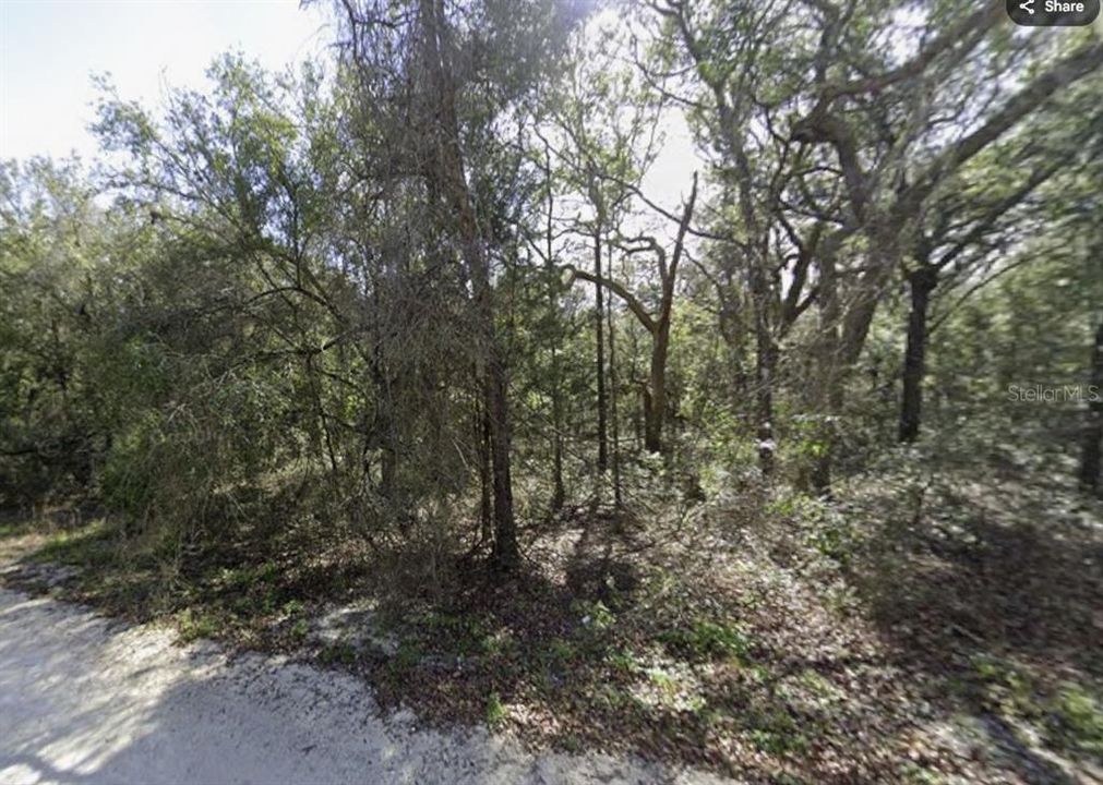 待售: $70,000 (1.39 acres)