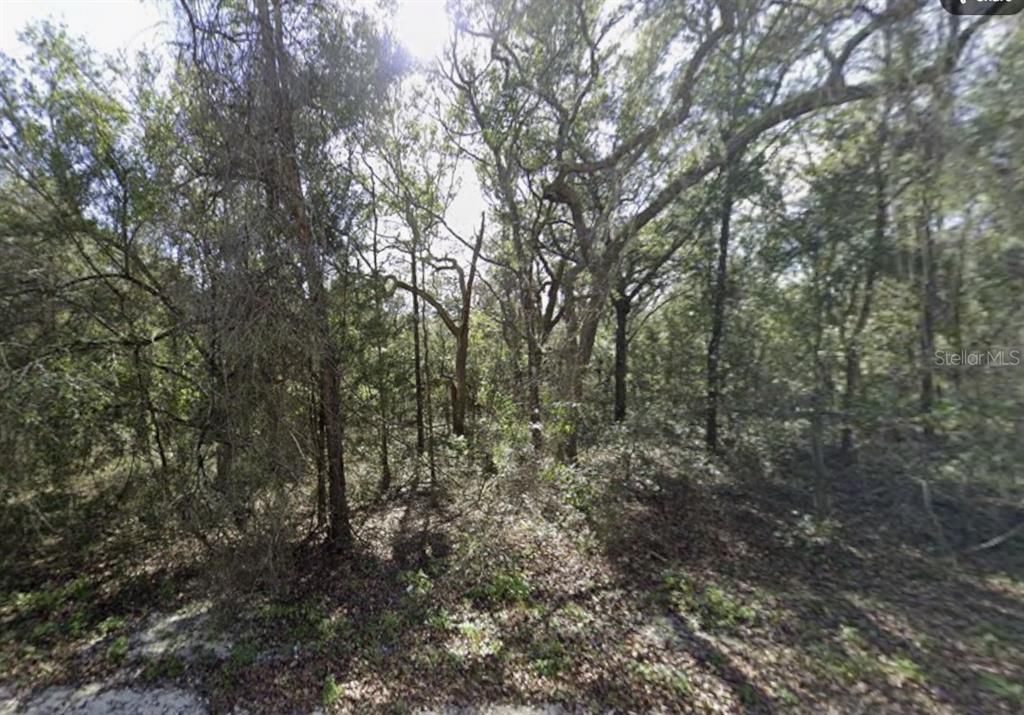 待售: $70,000 (1.39 acres)