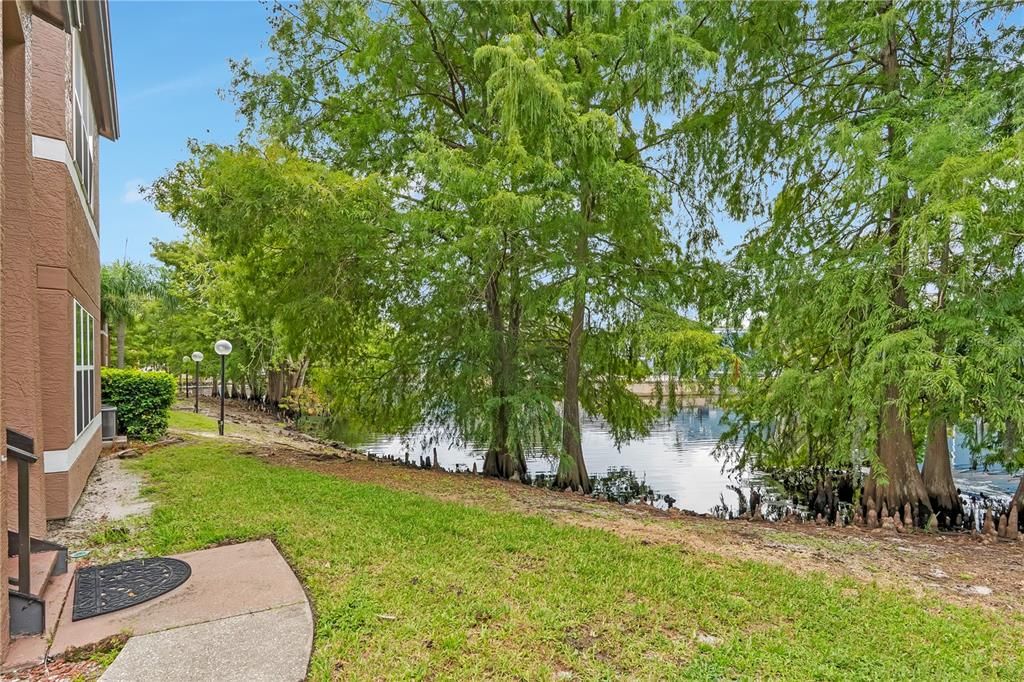For Rent: $1,450 (2 beds, 1 baths, 934 Square Feet)