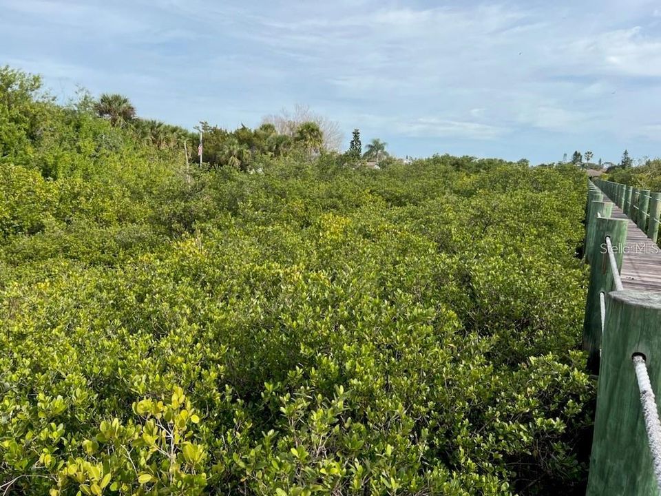 На продажу: $695,000 (0.86 acres)