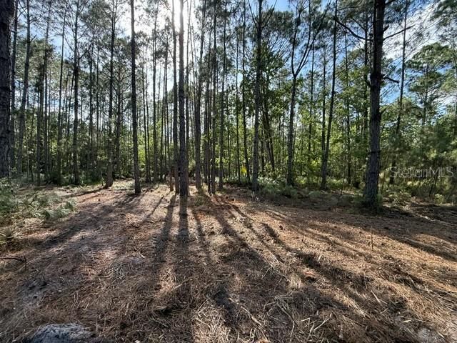 En Venta: $339,900 (8.63 acres)