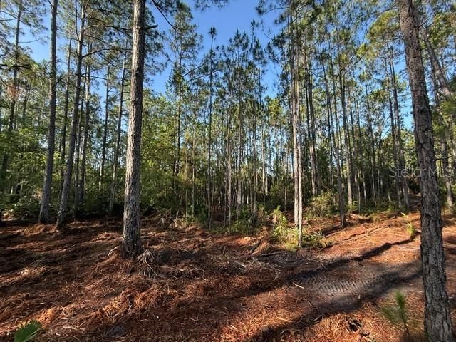 En Venta: $339,900 (8.63 acres)