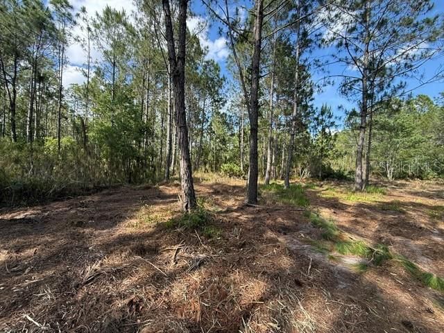 En Venta: $339,900 (8.63 acres)