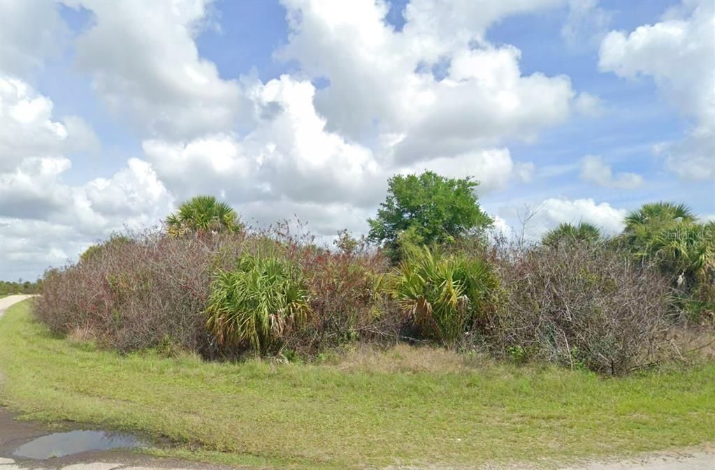 For Sale: $8,900 (0.22 acres)
