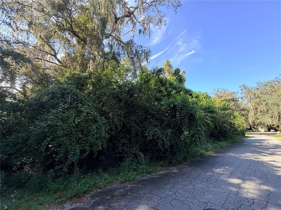 For Sale: $25,000 (0.23 acres)