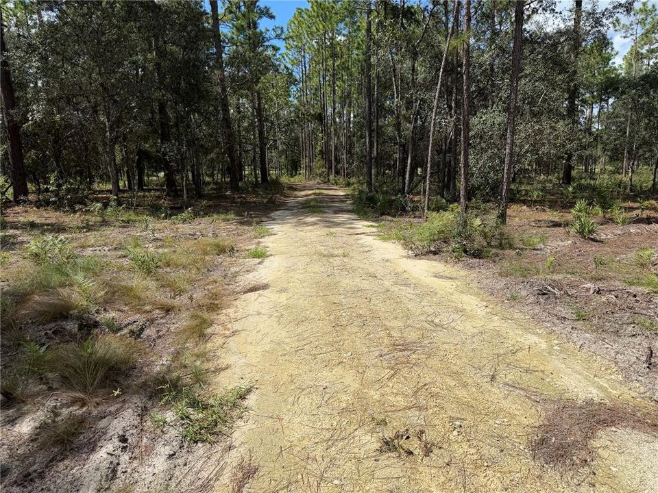 待售: $159,900 (5.00 acres)
